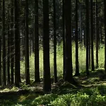 Semesterbostad Beautiful In Jalhay 5 Minutes From The Hautes Fagnes *