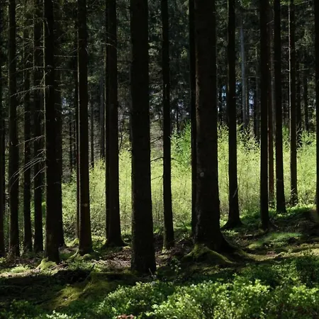 Beautiful G Te In Jalhay 5 Minutes From The Hautes Fagnes
