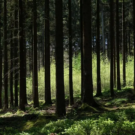 Hébergement de vacances Beautiful In Jalhay 5 Minutes From The Hautes Fagnes *