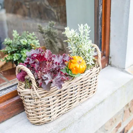 Beautiful In Jalhay 5 Minutes From The Hautes Fagnes *